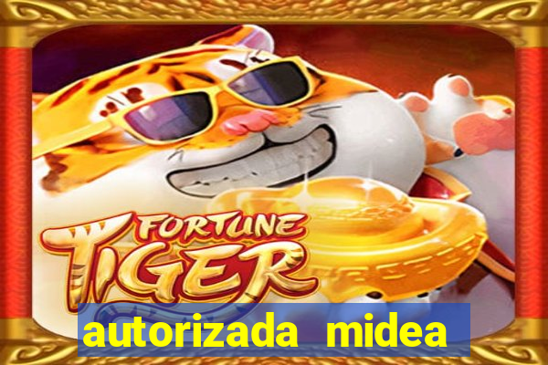 autorizada midea porto alegre